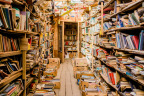 gallery/many_book_library_576433_6000x4000